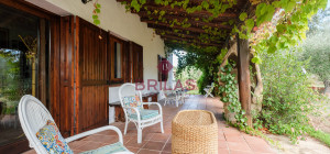 Villa rustica con vigna e uliveto