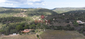 Villa rustica con vigna e uliveto