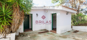 Villa rustica con vigna e uliveto