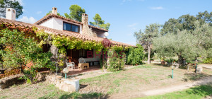 Villa rustica con vigna e uliveto