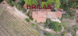 Villa rustica con vigna e uliveto