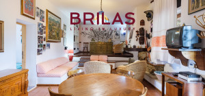 Villa rustica con vigna e uliveto