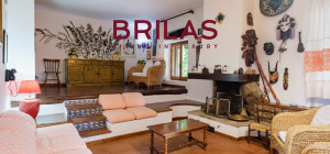 Villa rustica con vigna e uliveto