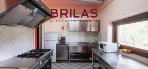 Villa rustica con vigna e uliveto