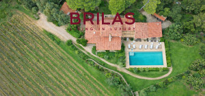 Villa rustica con vigna e uliveto