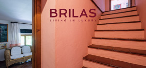 Villa rustica con vigna e uliveto