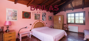 Villa rustica con vigna e uliveto