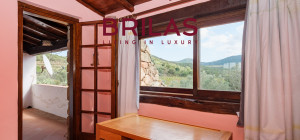 Villa rustica con vigna e uliveto