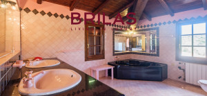 Villa rustica con vigna e uliveto