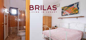 Villa rustica con vigna e uliveto