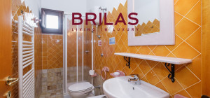 Villa rustica con vigna e uliveto