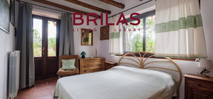 Villa rustica con vigna e uliveto