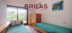 Villa rustica con vigna e uliveto