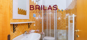 Villa rustica con vigna e uliveto