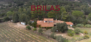Villa rustica con vigna e uliveto