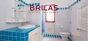 Villa rustica con vigna e uliveto