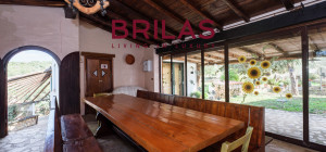 Villa rustica con vigna e uliveto