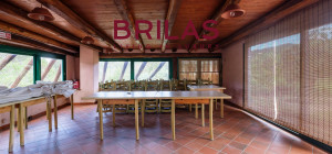 Villa rustica con vigna e uliveto