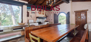 Villa rustica con vigna e uliveto