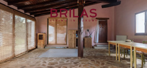 Villa rustica con vigna e uliveto