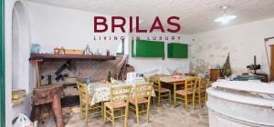 Villa rustica con vigna e uliveto