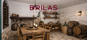 Villa rustica con vigna e uliveto