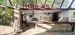 Villa rustica con vigna e uliveto