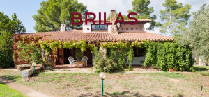 Villa rustica con vigna e uliveto