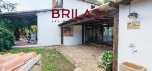 Villa rustica con vigna e uliveto