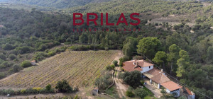Villa rustica con vigna e uliveto