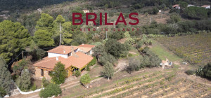 Villa rustica con vigna e uliveto