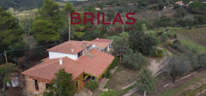 Villa rustica con vigna e uliveto