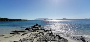 Detached Villa with Swimming Pool in Pittulongu - Under Construction