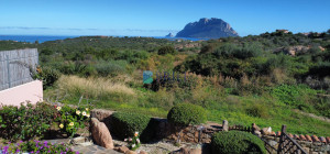 Porto San Paolo - Bifamiliare vista mare a Monte Contros