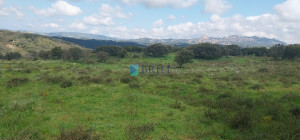 Vendesi Tenuta di 16 Ettari con Fabbricati