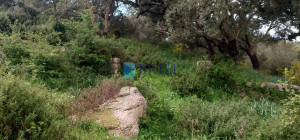 Vendesi Tenuta di 16 Ettari con Fabbricati