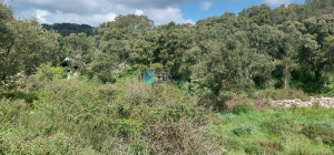 Vendesi Tenuta di 16 Ettari con Fabbricati