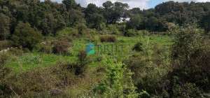 Vendesi Tenuta di 16 Ettari con Fabbricati