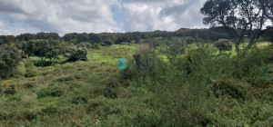 Vendesi Tenuta di 16 Ettari con Fabbricati