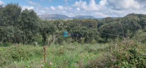 Vendesi Tenuta di 16 Ettari con Fabbricati