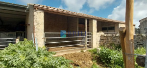 Vendesi Tenuta di 16 Ettari con Fabbricati