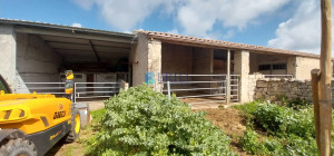 Vendesi Tenuta di 16 Ettari con Fabbricati