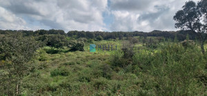 Vendesi Tenuta di 16 Ettari con Fabbricati