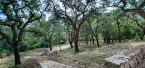 Esclusiva proprietà a Calangianus