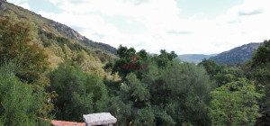 Esclusiva proprietà a Calangianus