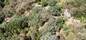 Esclusiva proprietà a Calangianus