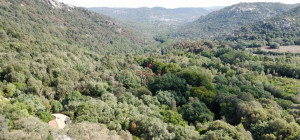 Esclusiva proprietà a Calangianus