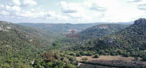 Esclusiva proprietà a Calangianus