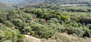 Esclusiva proprietà a Calangianus