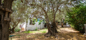Villa in the countryside ten minutes from Olbia